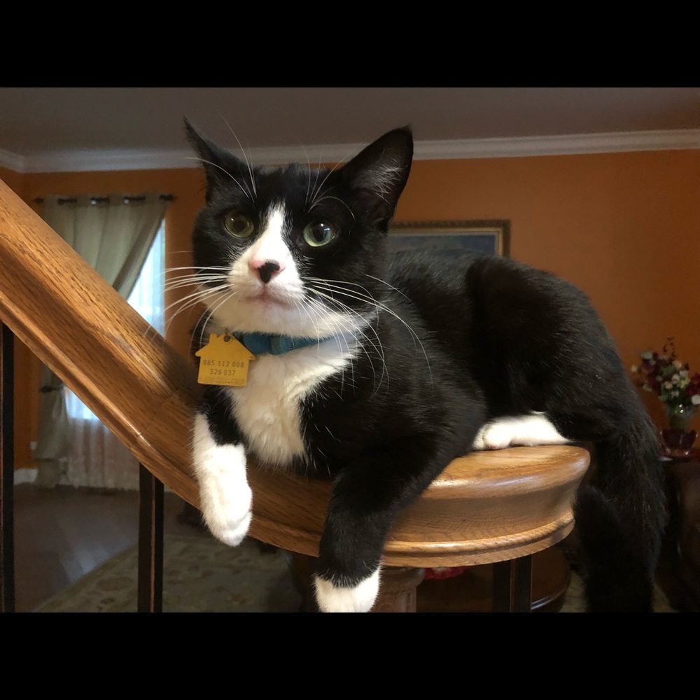 Meet your Posher, Aneta